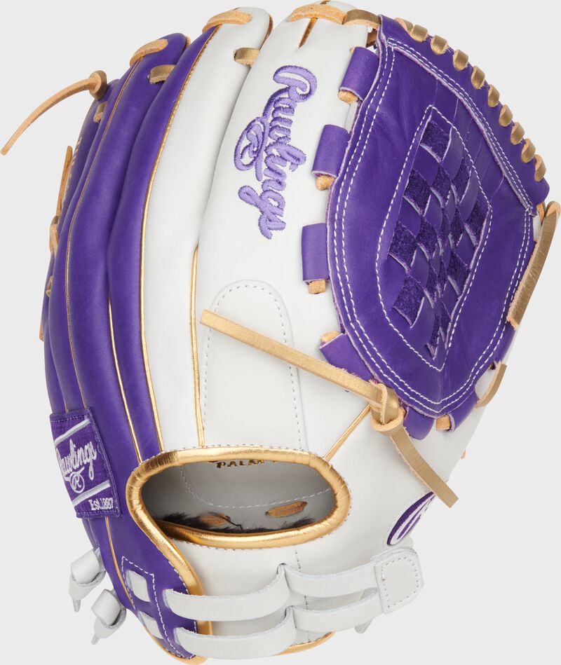Liberty Advanced Color Series 12 in Fastpitch Glove, White/Purple, Right loading=